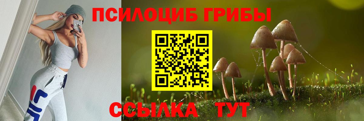 Галлюциногенные грибы прущие грибы  Галлюциногенные грибы прущие грибы  Тобольск  Вход с VPN 
