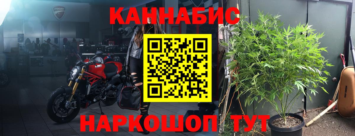Шишки марихуана план Тобольск